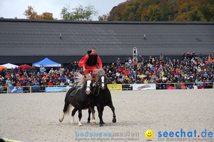 Hengstparade Marbach 2008