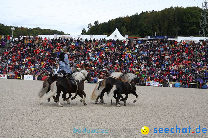 Hengstparade Marbach 2008