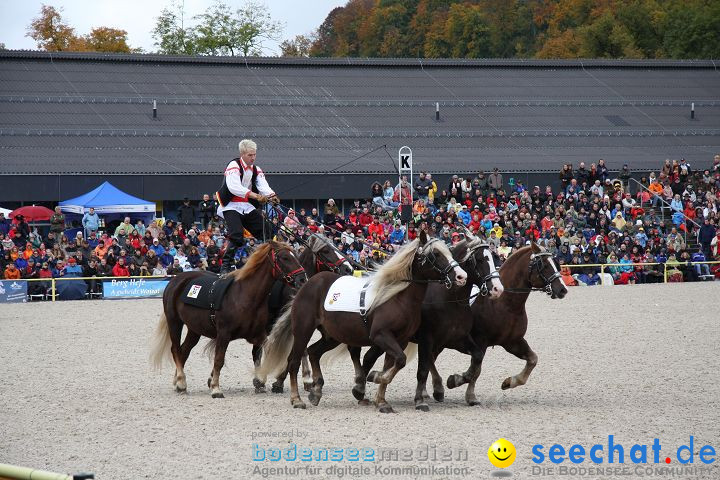 Hengstparade Marbach 2008