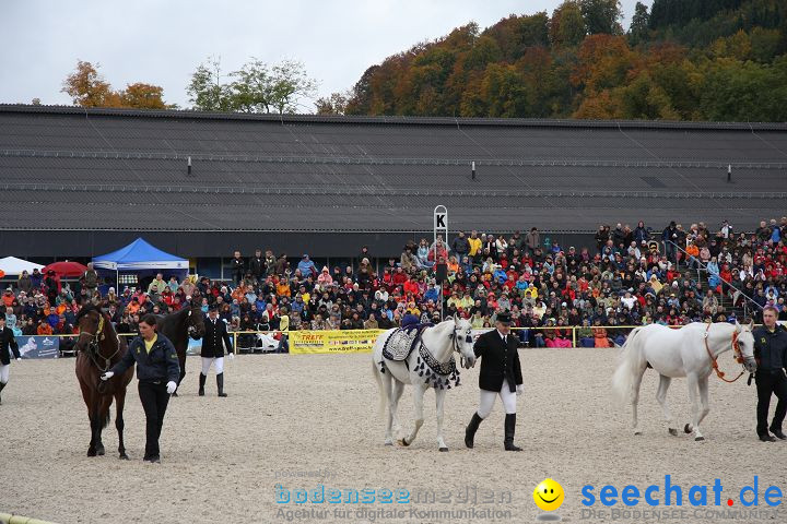 Hengstparade Marbach 2008