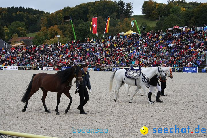 Hengstparade Marbach 2008