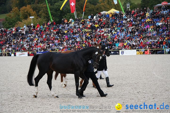 Hengstparade Marbach 2008