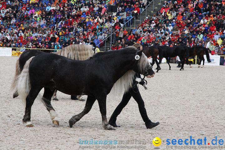 Hengstparade Marbach 2008