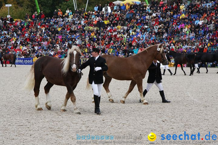 Hengstparade Marbach 2008