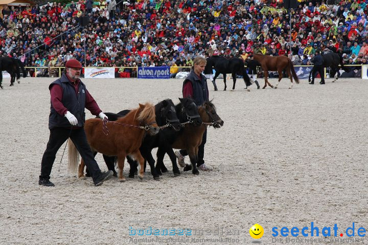 Hengstparade Marbach 2008