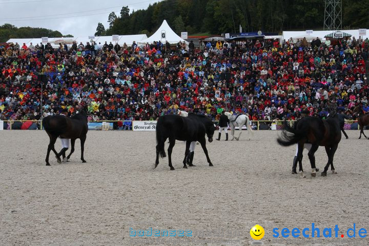 Hengstparade Marbach 2008