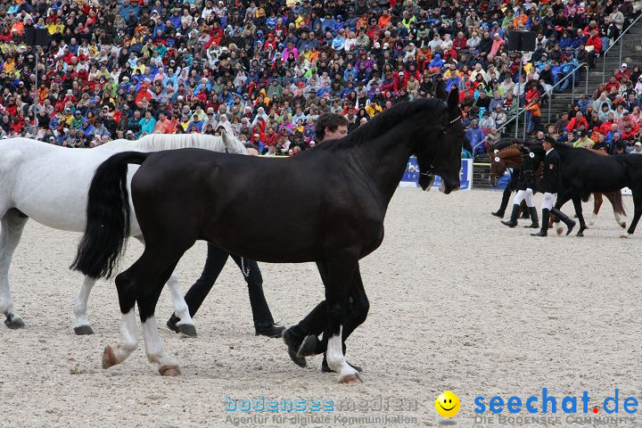 Hengstparade Marbach 2008