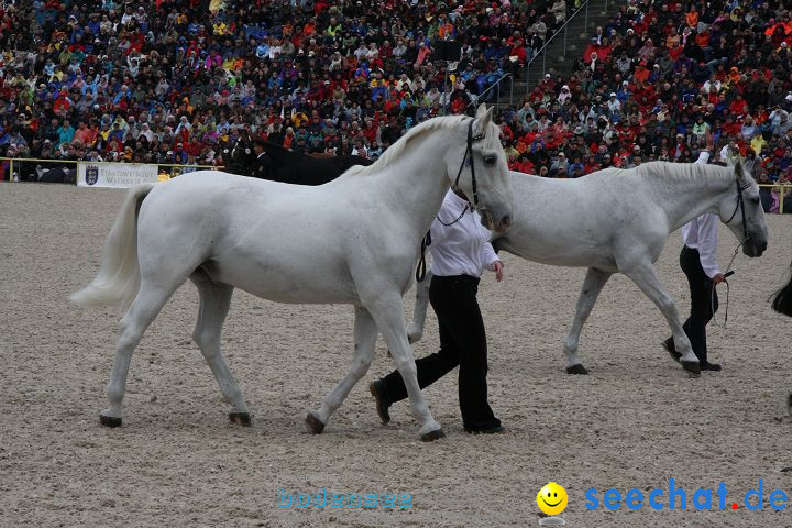 Hengstparade Marbach 2008