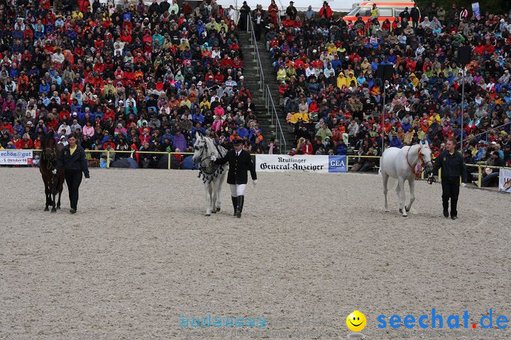 Hengstparade Marbach 2008