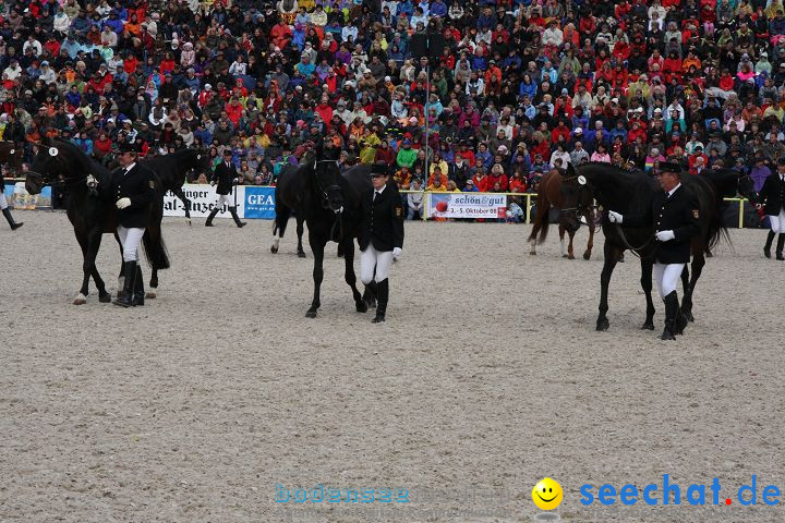 Hengstparade Marbach 2008