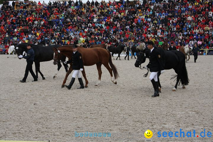 Hengstparade Marbach 2008