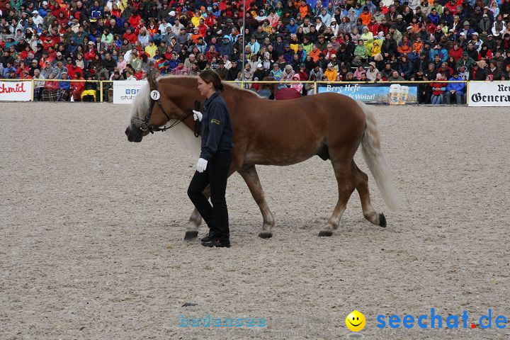 Hengstparade Marbach 2008