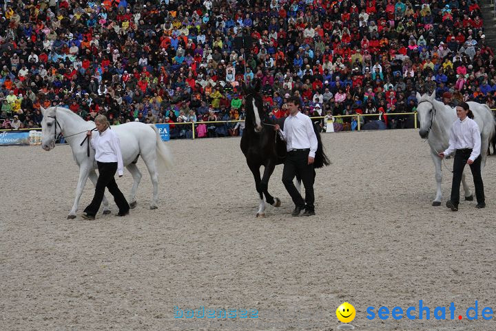 Hengstparade Marbach 2008