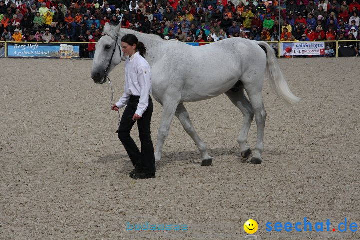 Hengstparade Marbach 2008