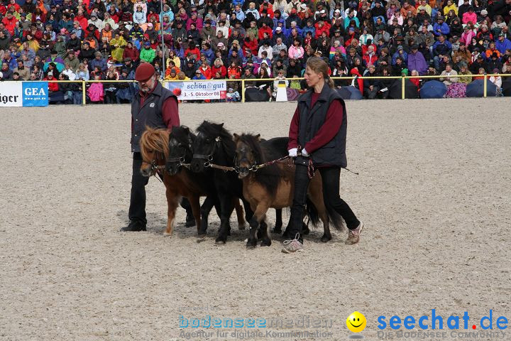 Hengstparade Marbach 2008