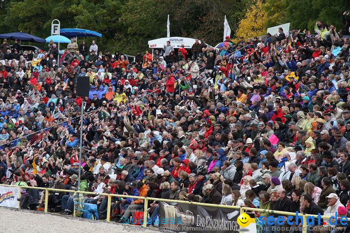 Hengstparade Marbach 2008