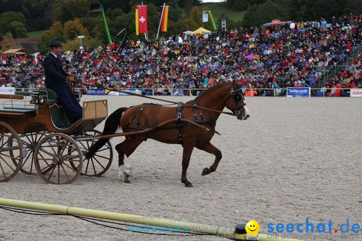 Hengstparade Marbach 2008