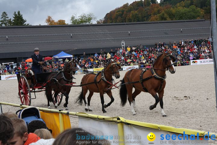 Hengstparade Marbach 2008