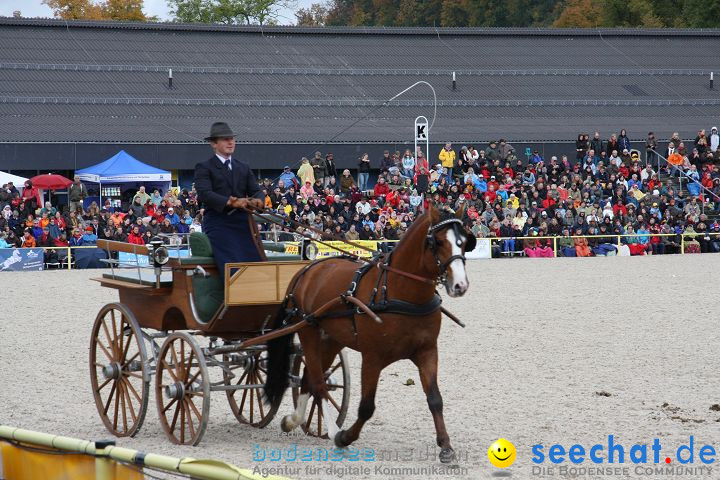 Hengstparade Marbach 2008