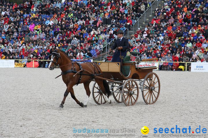 Hengstparade Marbach 2008