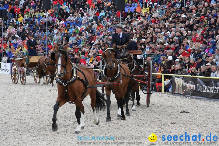 Hengstparade Marbach 2008