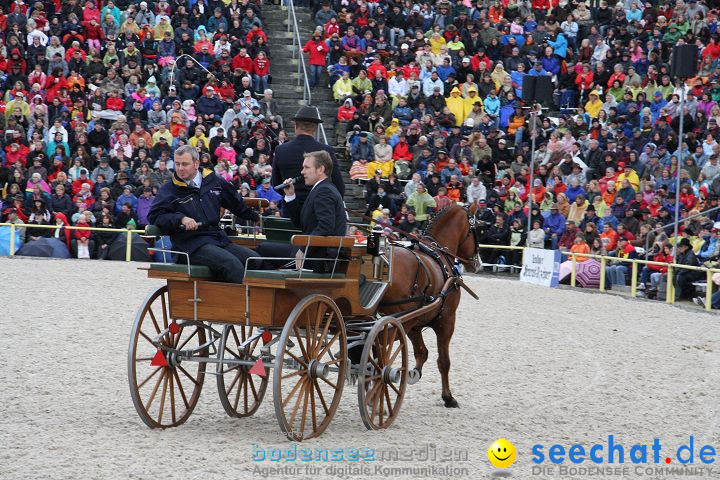 Hengstparade Marbach 2008