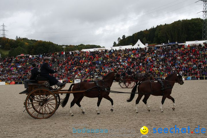 Hengstparade Marbach 2008