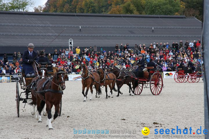 Hengstparade Marbach 2008