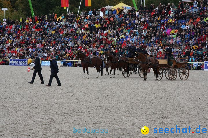 Hengstparade Marbach 2008