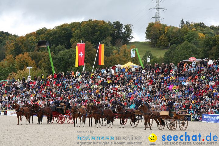 Hengstparade Marbach 2008