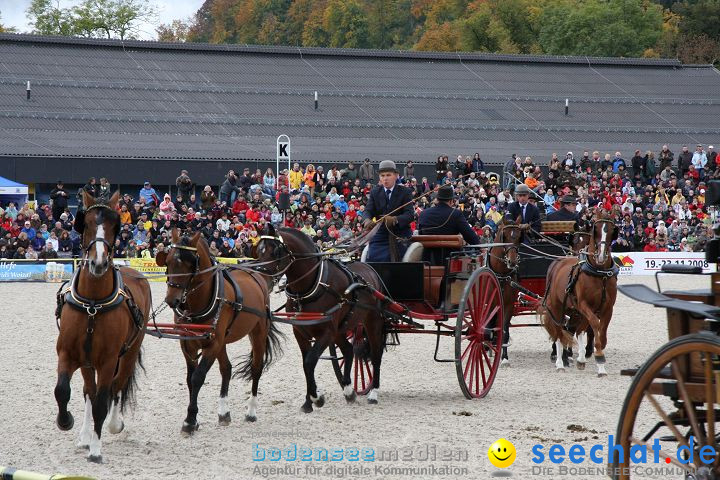 Hengstparade Marbach 2008