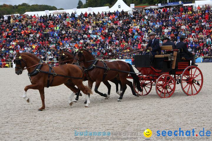 Hengstparade Marbach 2008