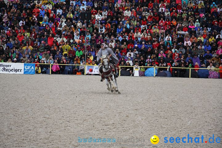 Hengstparade Marbach 2008