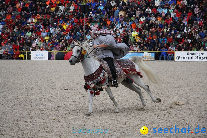 Hengstparade Marbach 2008