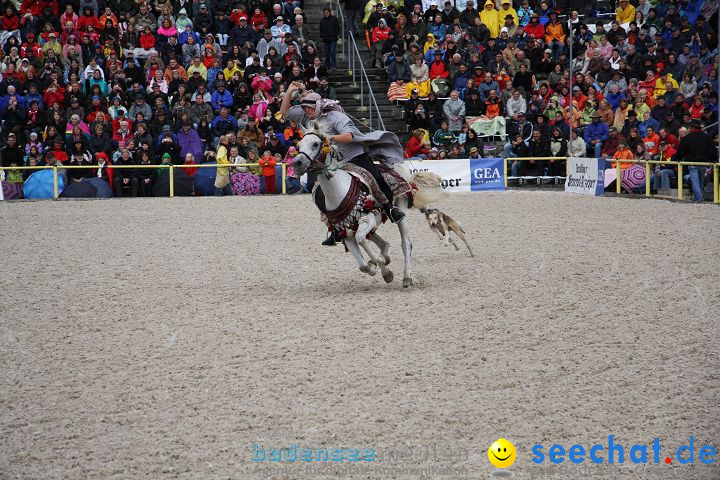 Hengstparade Marbach 2008