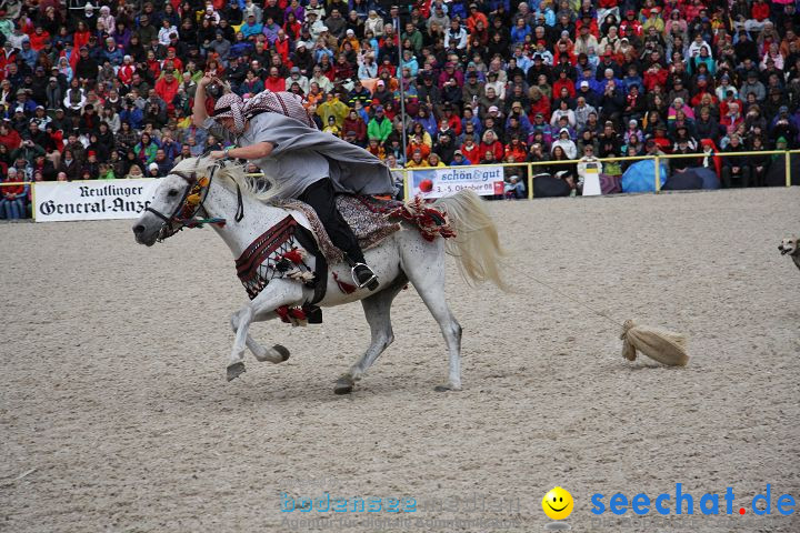 Hengstparade Marbach 2008