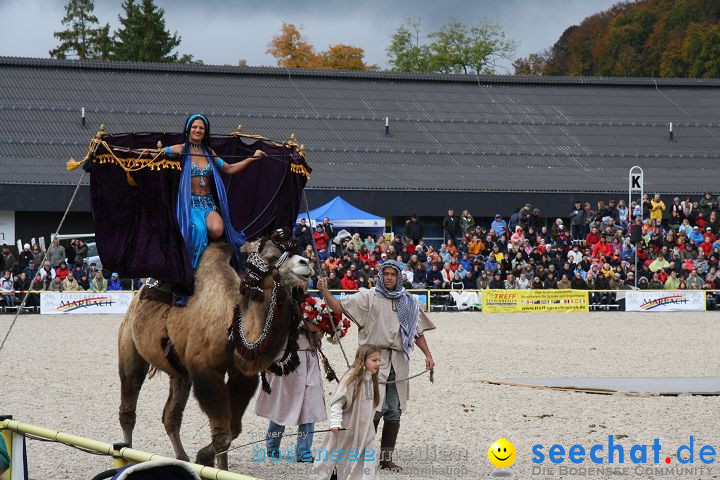 Hengstparade Marbach 2008