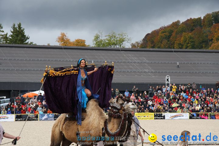 Hengstparade Marbach 2008