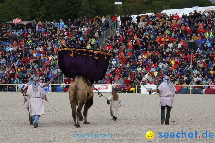 Hengstparade Marbach 2008