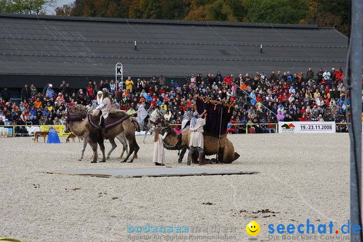 Hengstparade Marbach 2008