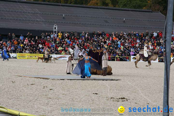 Hengstparade Marbach 2008