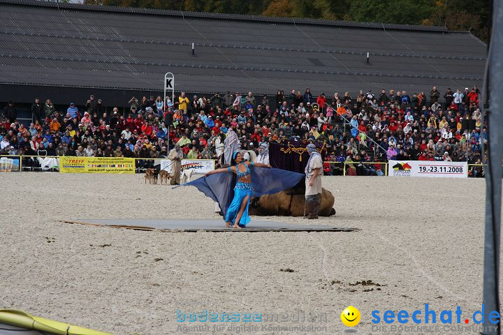 Hengstparade Marbach 2008