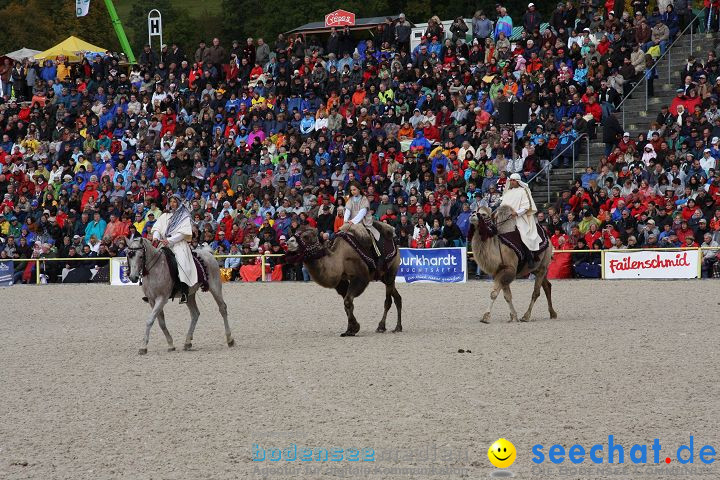 Hengstparade Marbach 2008