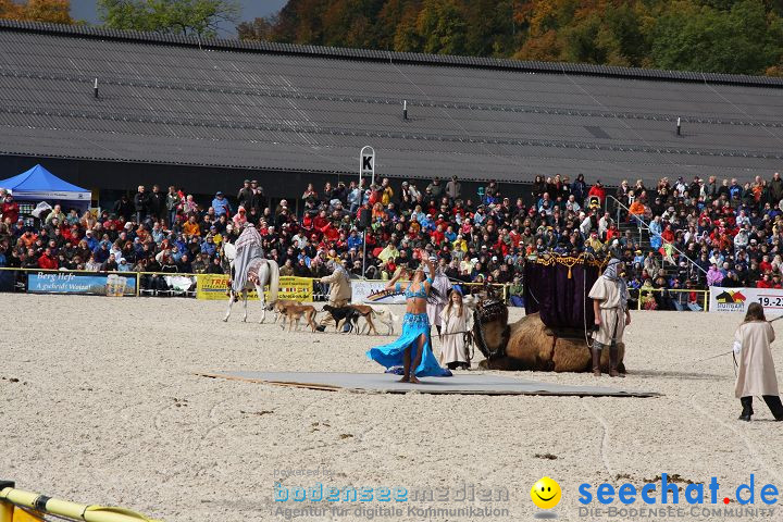 Hengstparade Marbach 2008