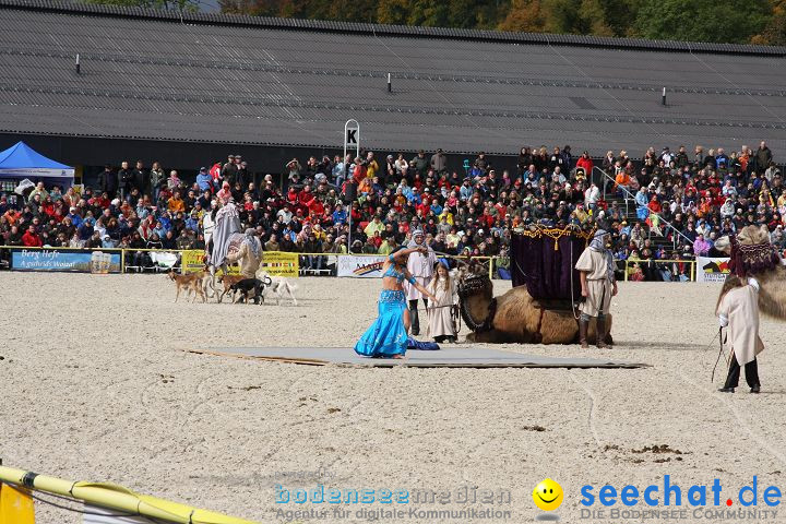 Hengstparade Marbach 2008