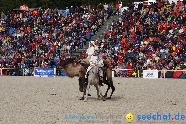 Hengstparade Marbach 2008