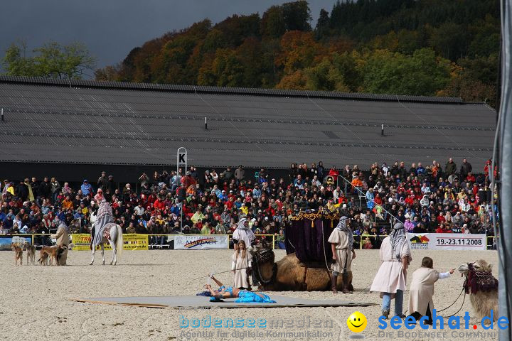 Hengstparade Marbach 2008