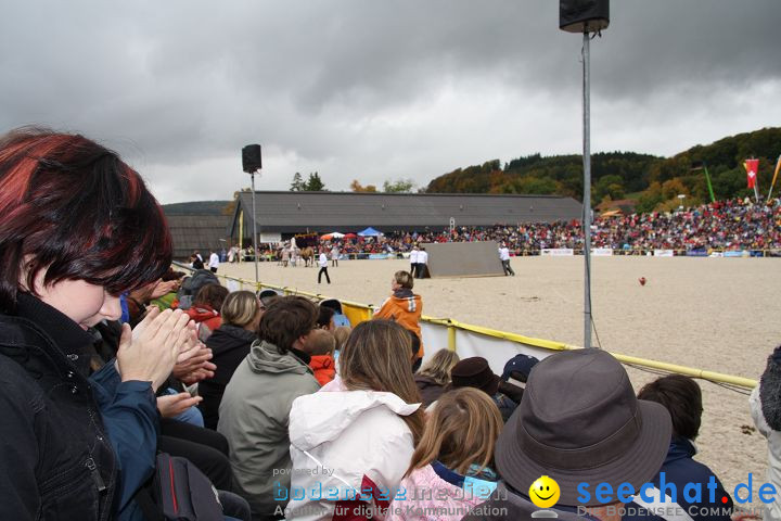 Hengstparade Marbach 2008