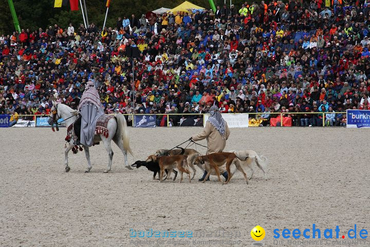 Hengstparade Marbach 2008