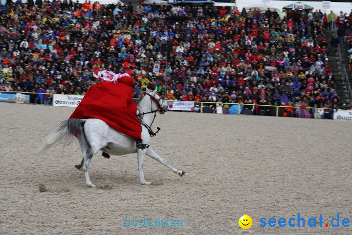 Hengstparade Marbach 2008